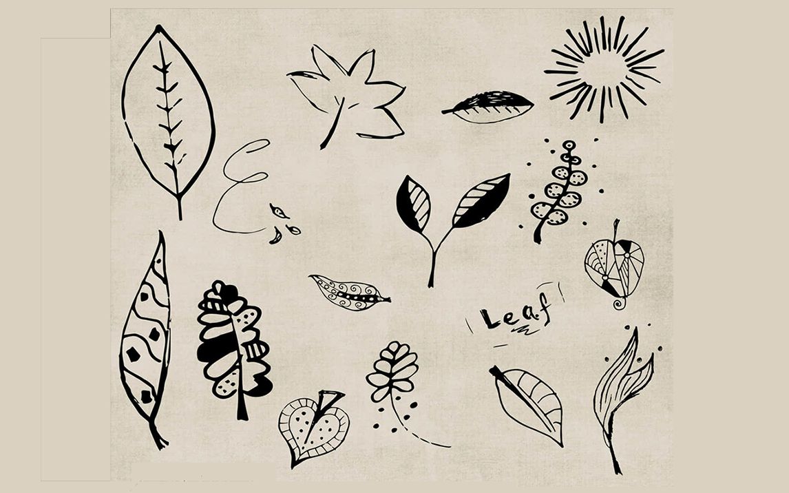 24可爱的童趣涂鸦树叶ps叶子笔刷