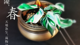 荷兰进口白油画竹芋 哔哩哔哩 つロ干杯 Bilibili