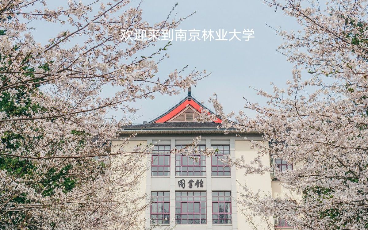 【南京林业大学】这不比招生简章好使?哔哩哔哩bilibili