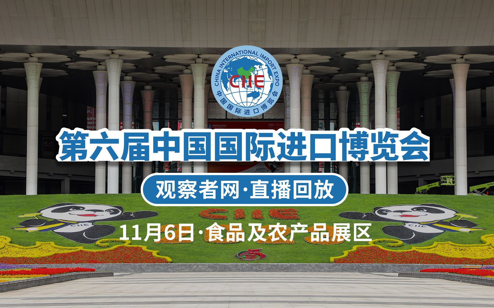 【直播回放】汇聚全球美味 打卡第六届进博会食品及农产品展区哔哩哔哩bilibili