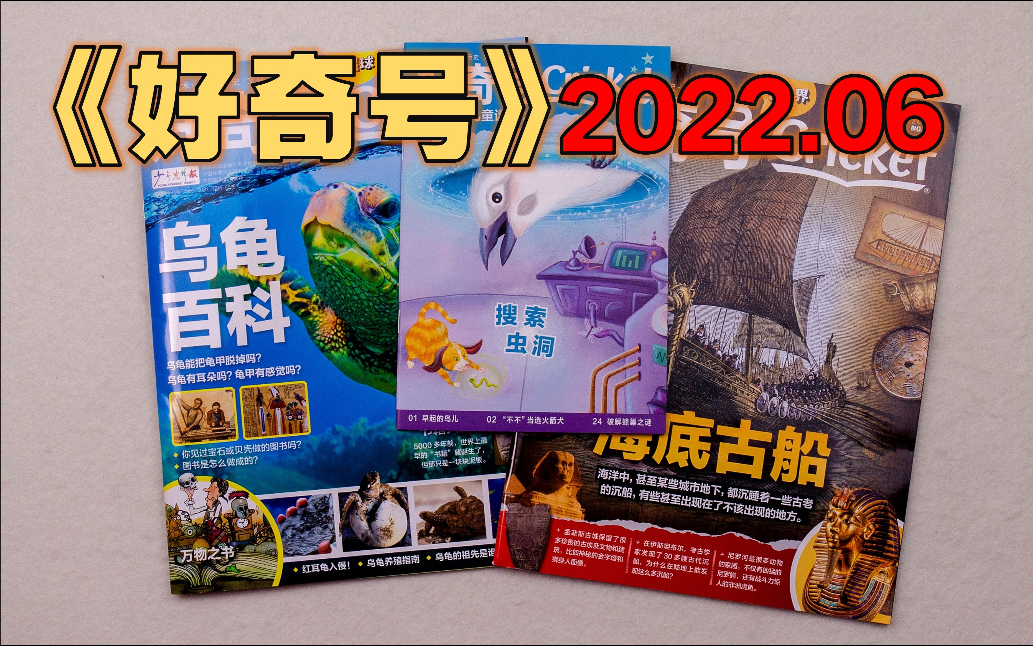 【月刊】《好奇号》 2022年6月  书籍大历史/ 万物之书/ 乌龟辟谣大会/ 神秘的阿拉伯语/ 重建维京古船/ 世贸大厦下的沉船/哔哩哔哩bilibili