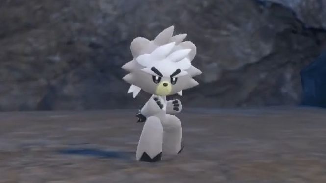 【宝可梦朱紫】同步器 动作展示 no.891 熊徒弟