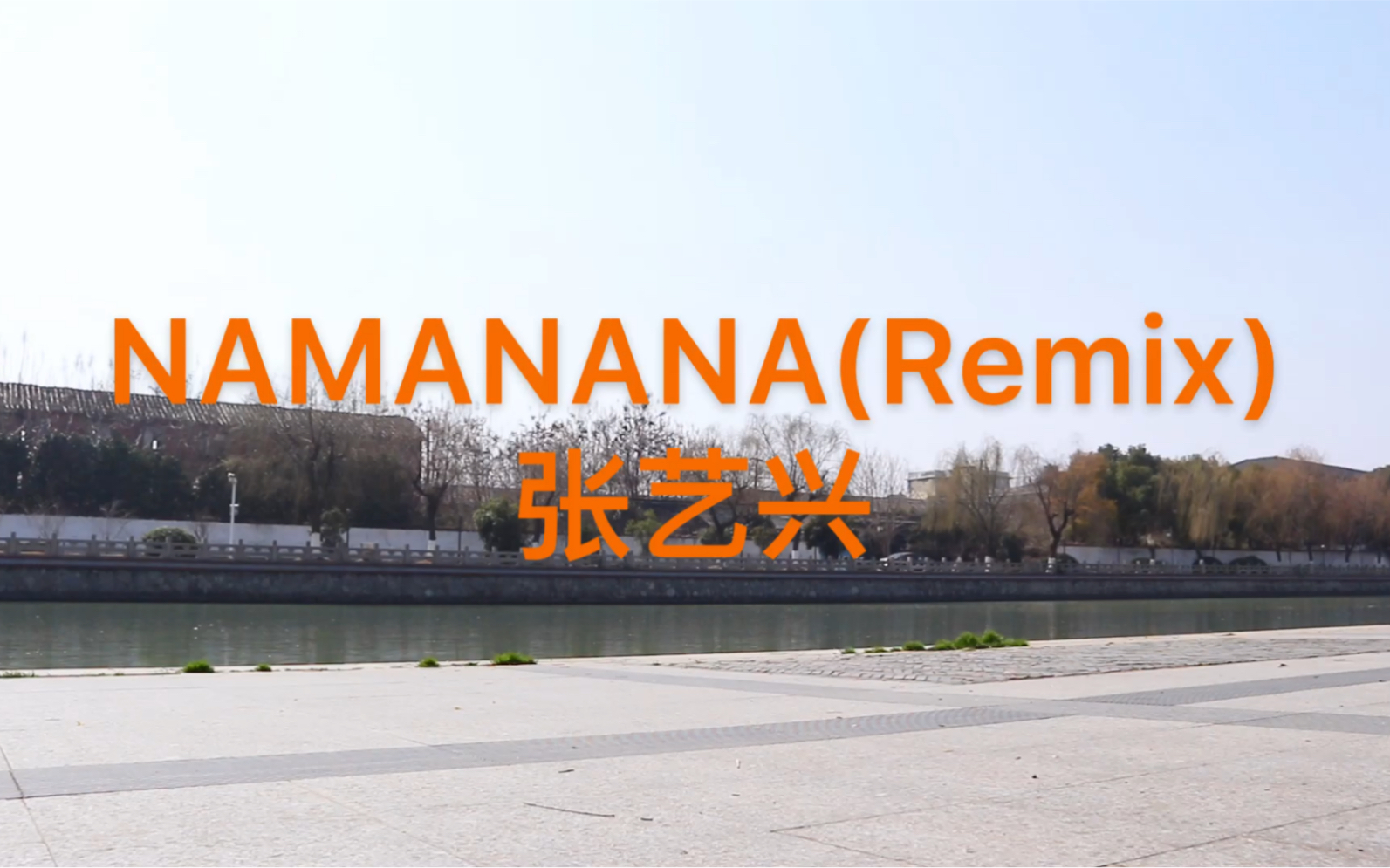 [图]IVY王嘉跳张艺兴《NAMANANA》Remix 请叫我卡点小公举 哈哈哈