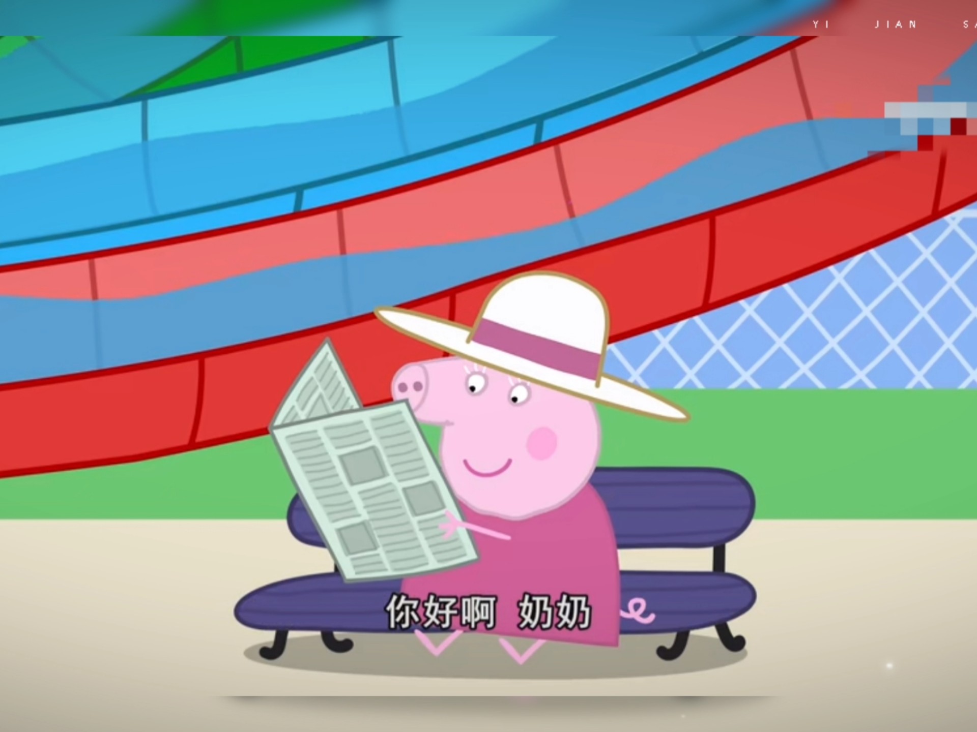 猪奶奶在看报纸嘛