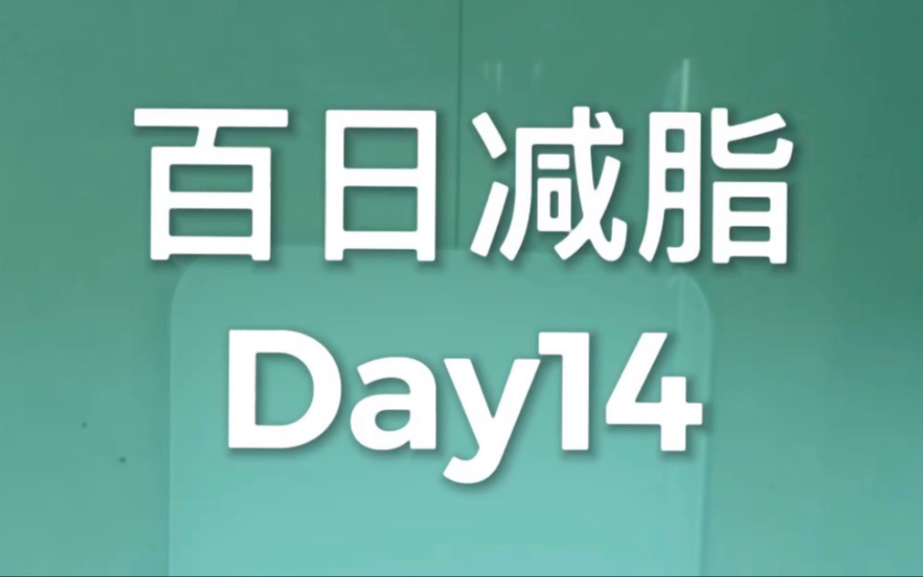 百日减脂 day14