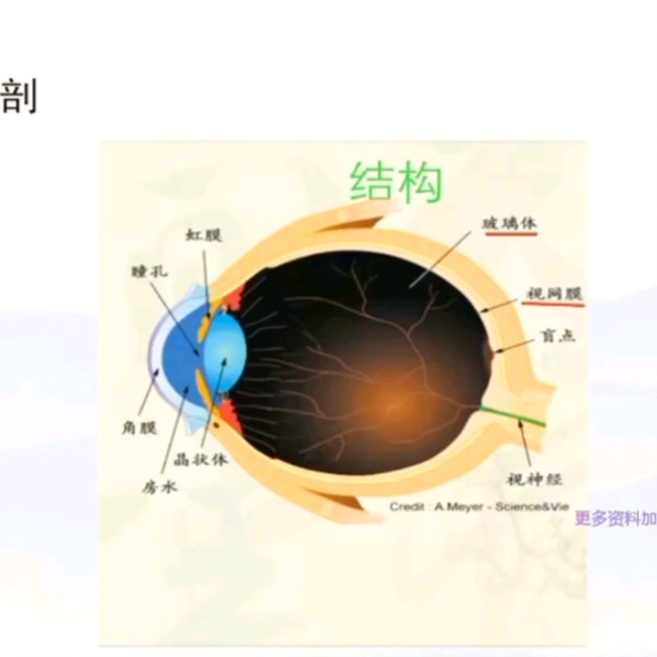 近视眼的手法治疗思路_哔哩哔哩_bilibili