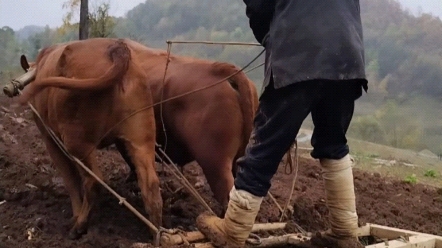 陶尽门前土,屋上无片瓦.十指不沾泥,鳞鳞居大厦. — 宋代ⷦⅥ𐧨‡㣀Š陶者》哔哩哔哩bilibili