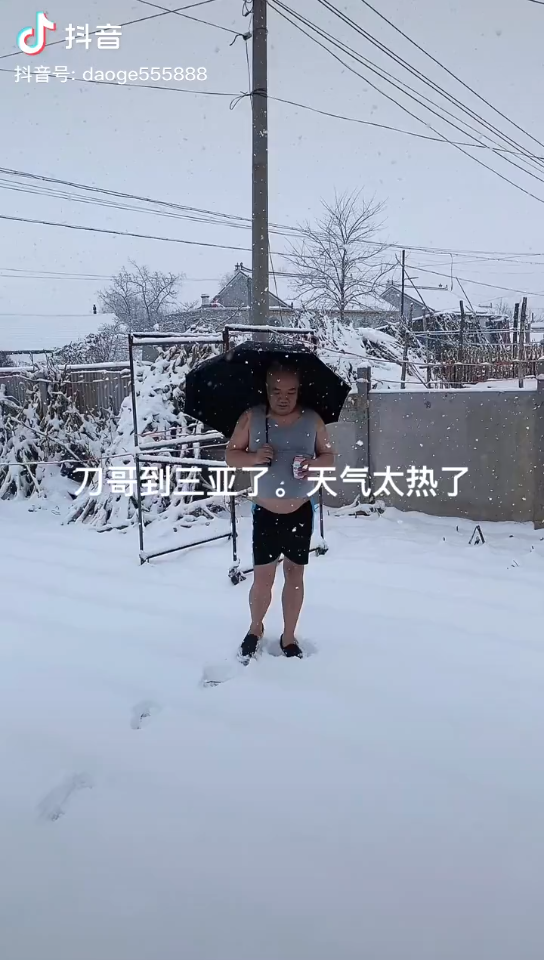 《雪 中 悍 刀 行 》哔哩哔哩bilibili