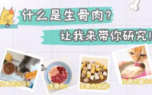 Video herunterladen: 什么是生骨肉？生骨肉、冻干生骨肉、生骨肉猫粮、生骨肉罐头有什么区别与联系？