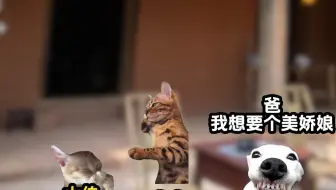 《北野许愿》1~4
