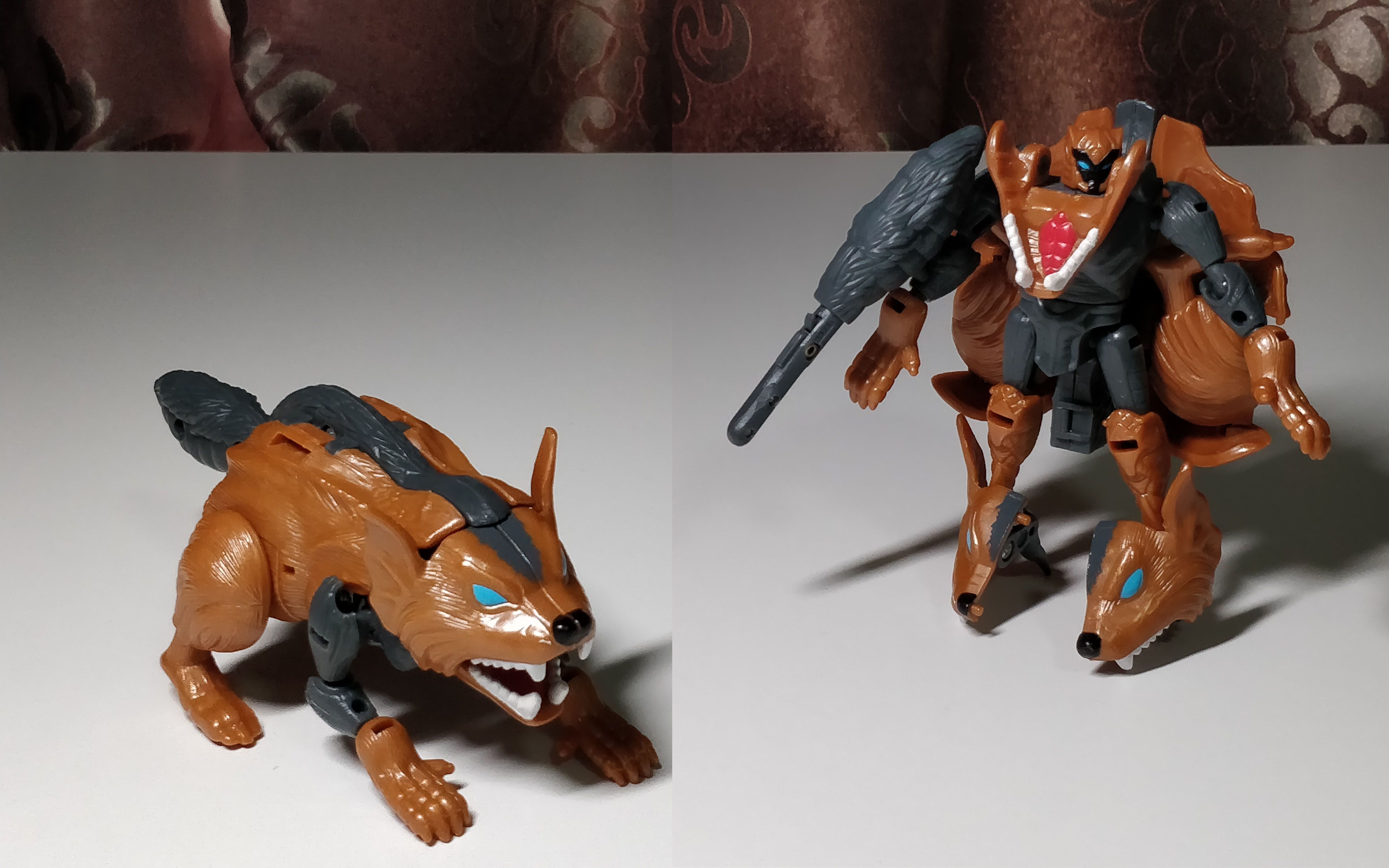 冲动勇敢的团宠kid 幼獾 变形金刚野兽之战2 beastwarsii bw2【aoc的