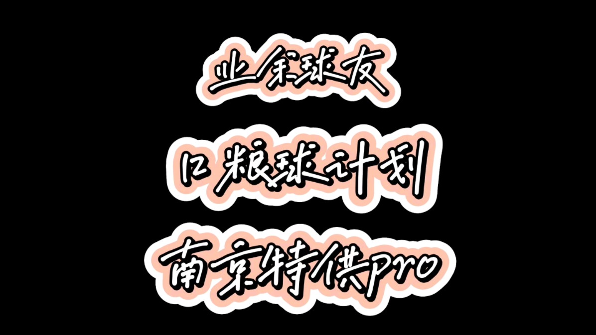 口粮球计划 第9期 南京特供pro哔哩哔哩bilibili