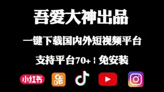 Download Video: 吾爱大神出品！一键下载国内外各大短视频平台，支持平台70+