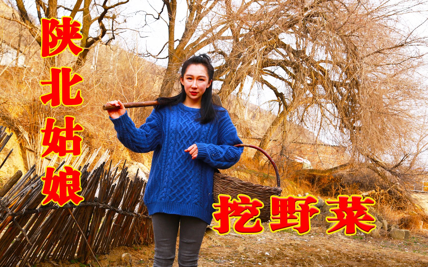 初春的陕北,小七上山挖野菜,鲜嫩的黄蒿芽炝拌配着面条,真好吃