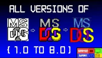 所有版本的 MS-DOS (1.0-8.0)