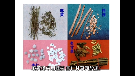 [图]放了中医谣有评论说要学汤头歌！小编就是不能说一说就给你做一个！