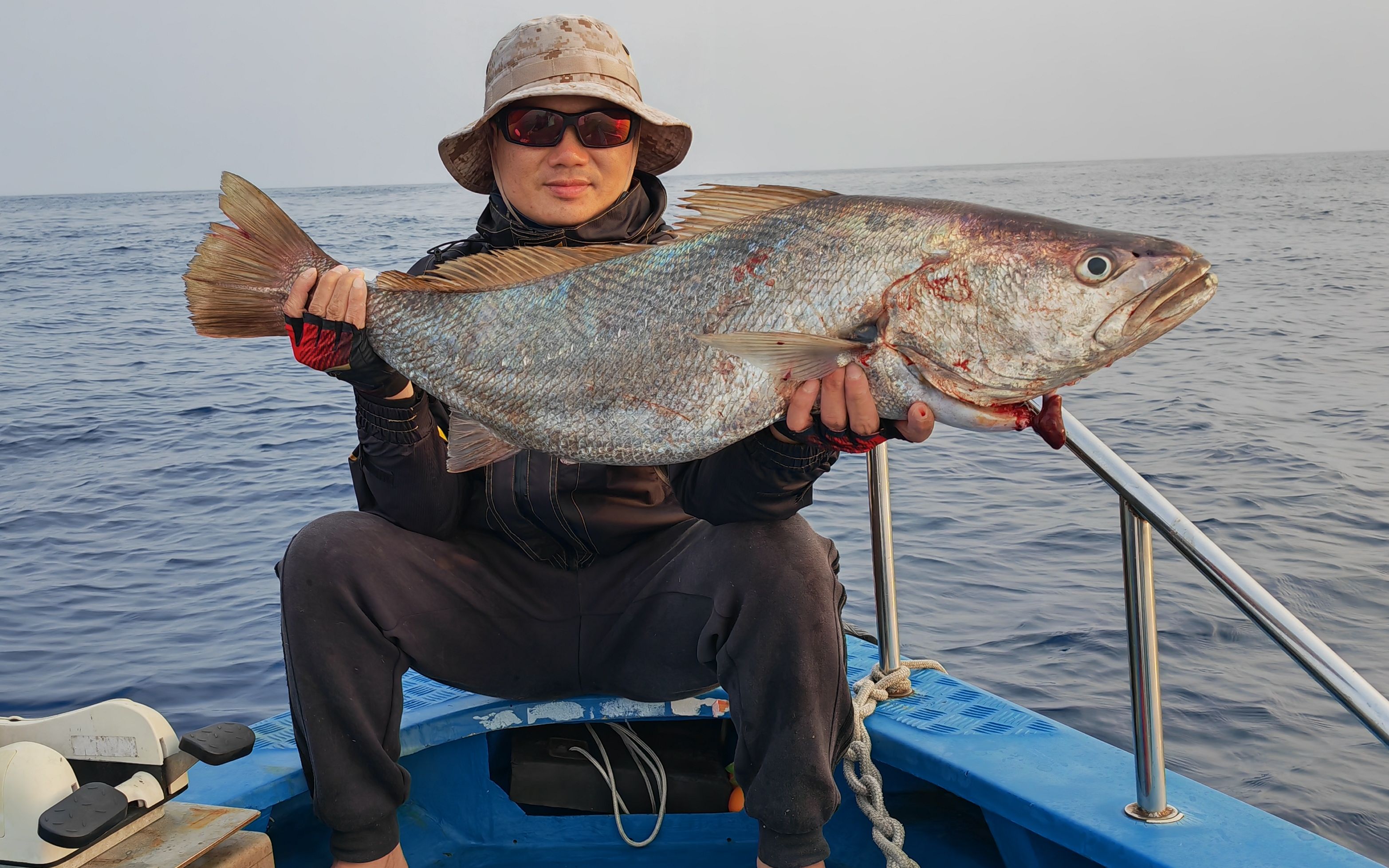 3月12沉船位钓鱼 #船钓海钓 #鲈鱼 #出发吧伟大的钓手