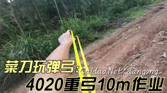 Download Video: 4020歪把子重弓十米打芦苇：加重配置后准度影响不大，习惯就好了