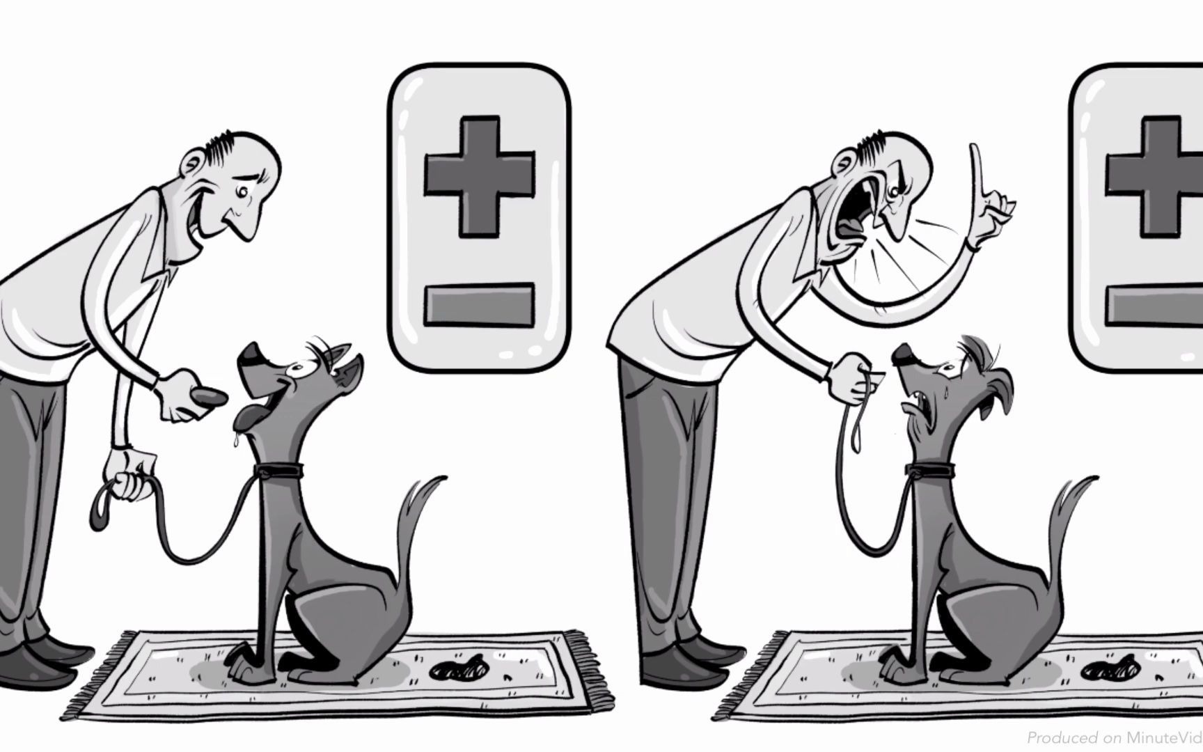 斯金纳的小白鼠|操作性条件理论(operant conditioning)_哔哩哔哩 (゜