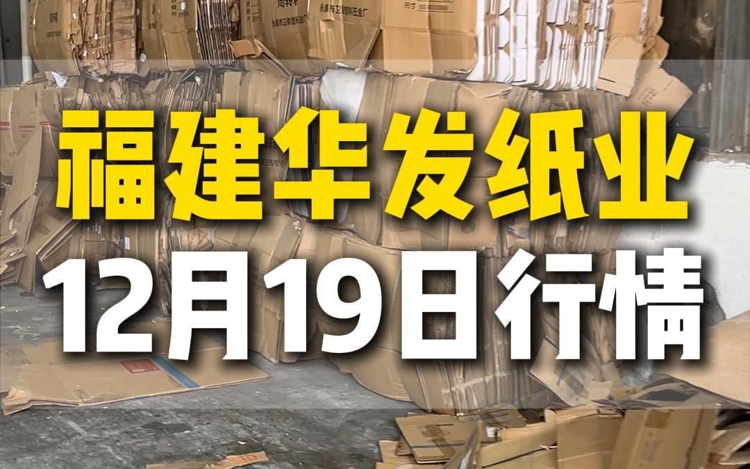 12月19日福建漳州华发纸业今日行情参考哔哩哔哩bilibili