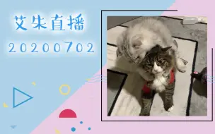 Download Video: 【GNZ48艾朱】“我比较像渣渣”“渣渣是我选回来的！”“小肥像猪猪”“小肥是在家抱回来的”