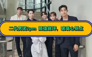 Download Video: 二代男团2pm 颜值锐评，玻璃心别点！