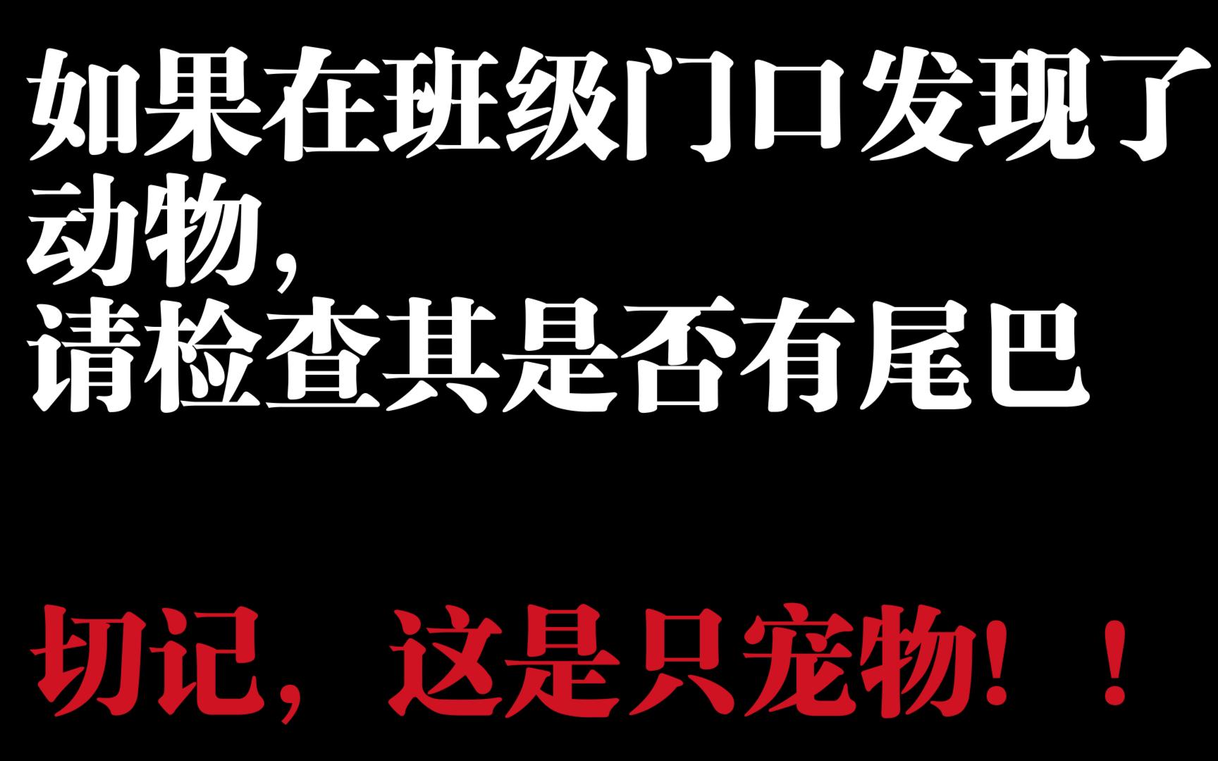 【规则类怪谈】请无视乌鸦的注视——《各二级学院班级各班长行为准则》哔哩哔哩bilibili