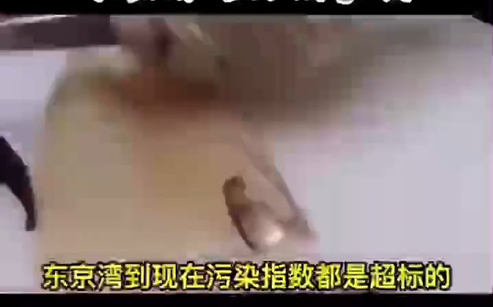 在日本的华人!哔哩哔哩bilibili