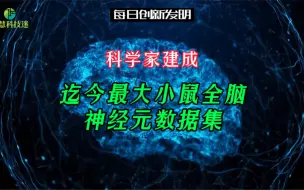 Tải video: 点赞东南大学等！科学家建成迄今最大小鼠全脑神经元数据集