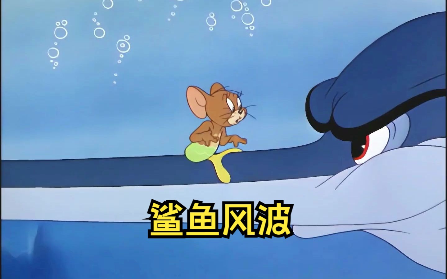 这一集猫和老鼠太搞笑了,汤姆究竟做了什么被鱼追杀.