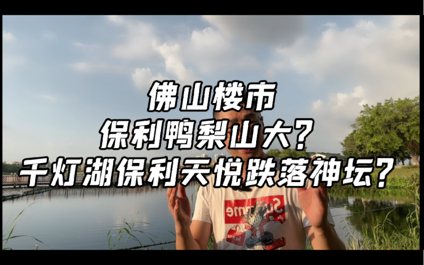 佛山楼市保利表示鸭梨山大?千灯湖保利天悦跌落神坛?哔哩哔哩bilibili