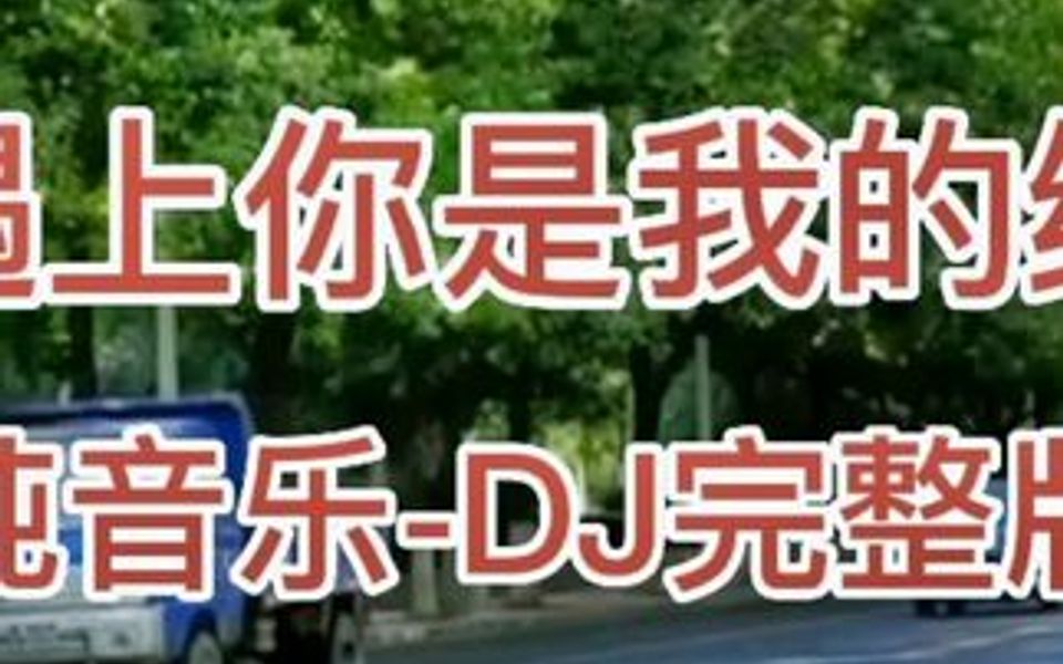 [图]经典老歌《遇上你是我的缘》电子琴纯音乐DJ完整版。