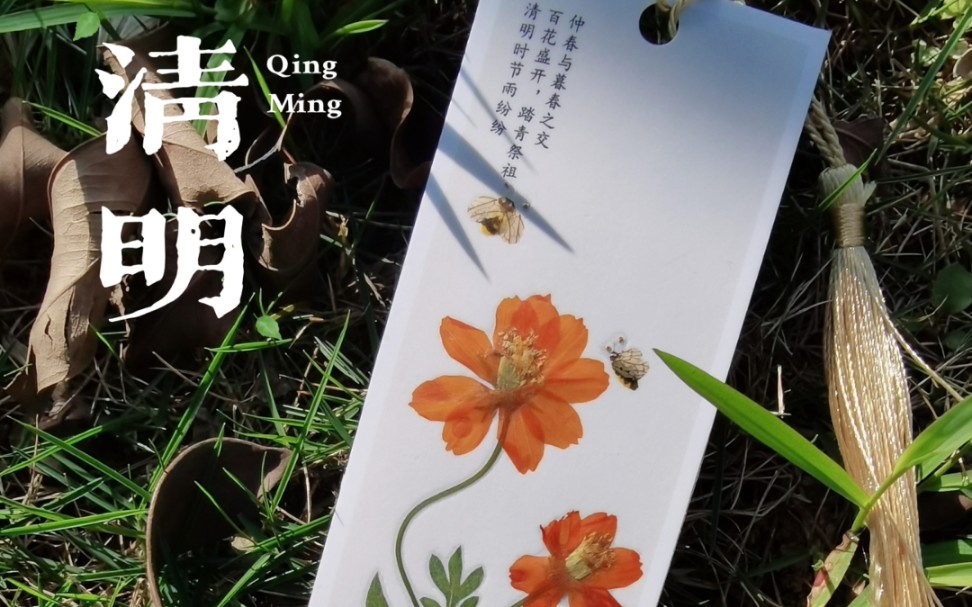 清明节书签 简单图片