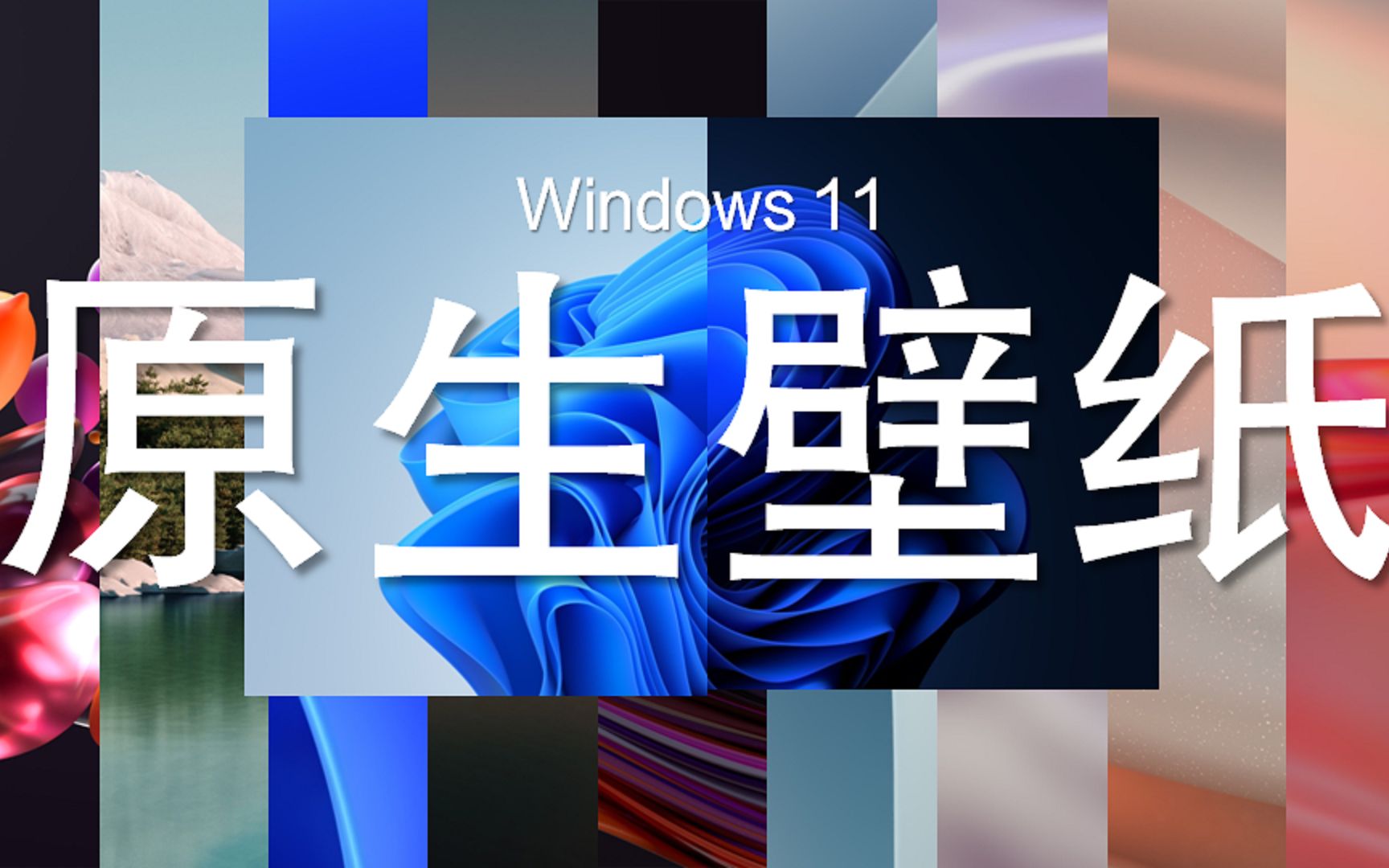 【Windows 11】Win 11 原生高清壁纸来了!哔哩哔哩bilibili