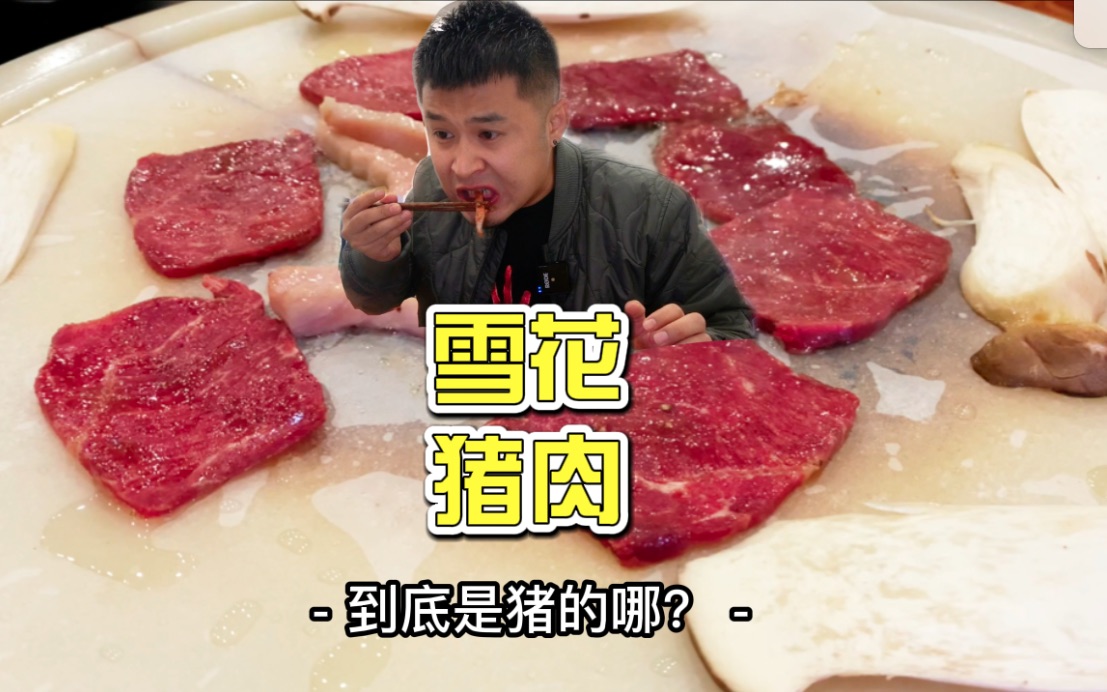 雪花猪肉到底是猪的哪块肉??哔哩哔哩bilibili