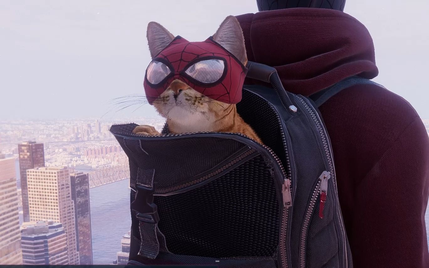 marvels spider-man_ miles morales漫威黑人小男孩蜘蛛侠来看猫!~!