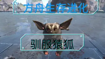 方舟 创世纪哪里最多最好驯服猿狐爱德华带你走向人数巅峰 哔哩哔哩 Bilibili