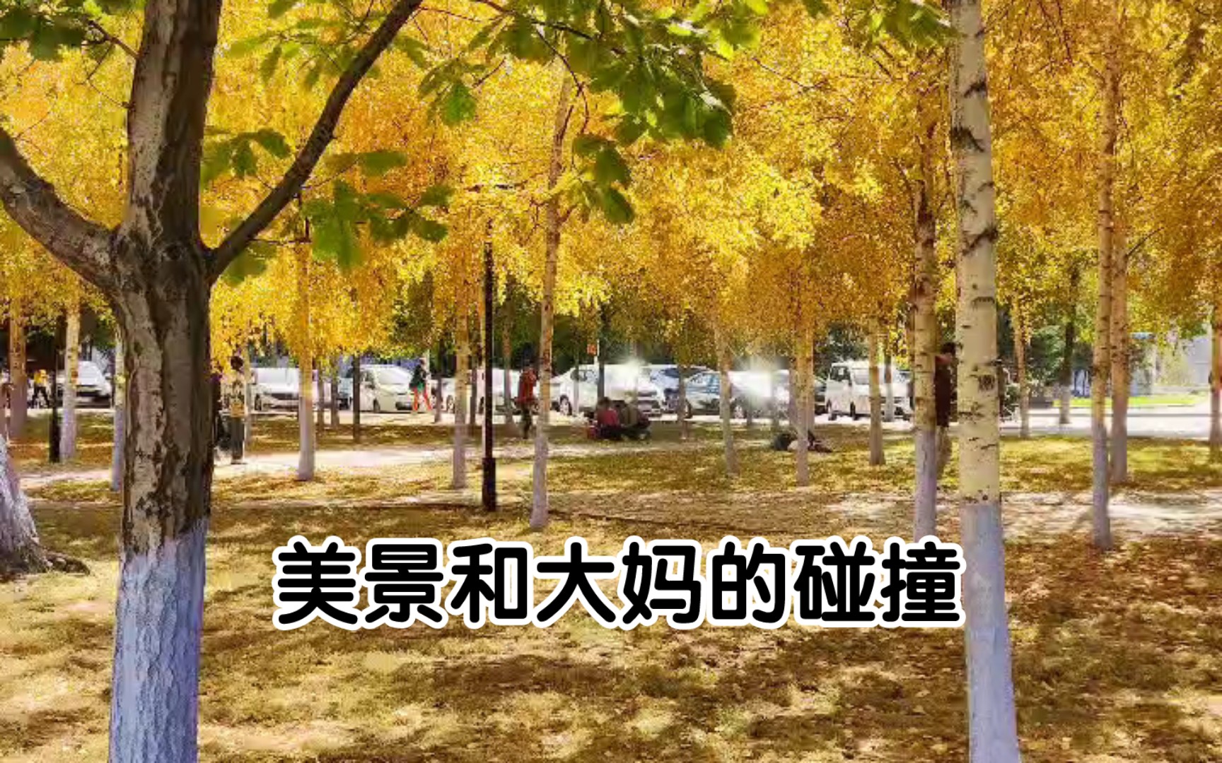 3A级景区哈尔滨工程大学的秋季美景,太美了吧哔哩哔哩bilibili