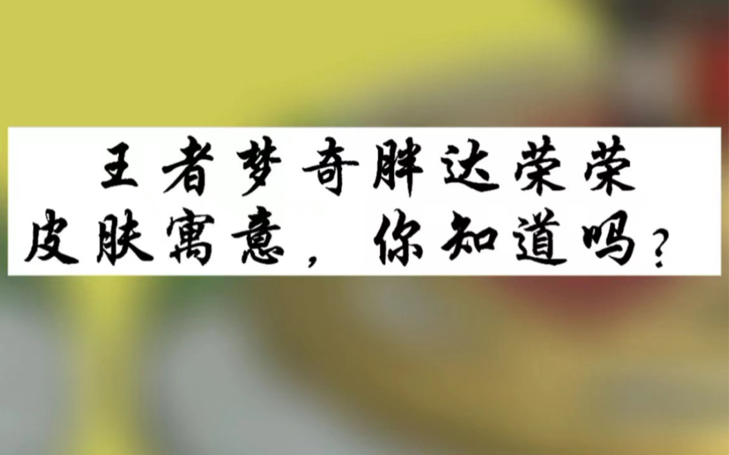 王者梦奇胖达荣荣,皮肤寓意,你知道吗?哔哩哔哩bilibili英雄联盟