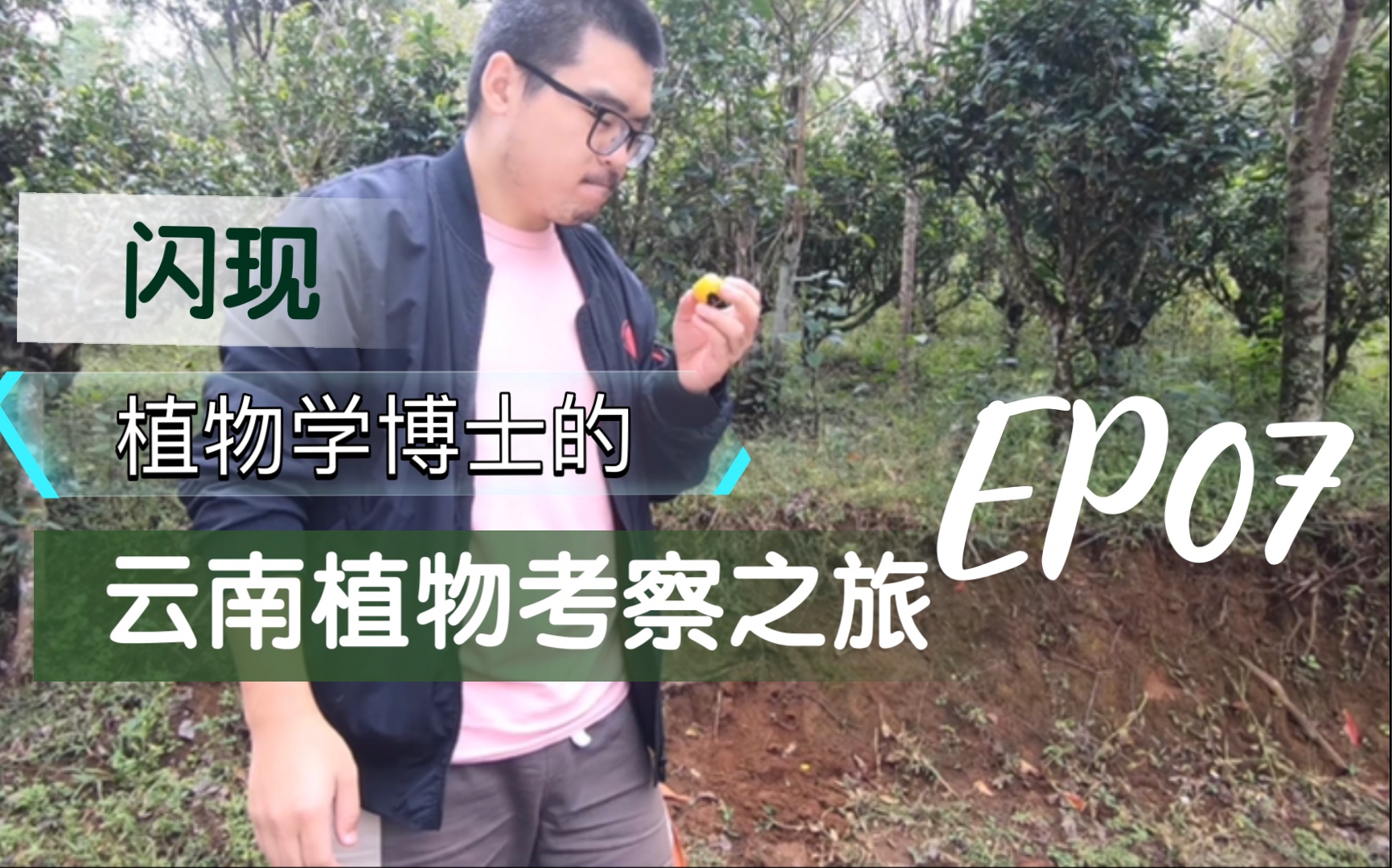 闪现ⷮŠ植物学博士的云南植物考察之旅EP07哔哩哔哩bilibili