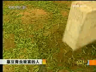 [图]《致富经》20081011