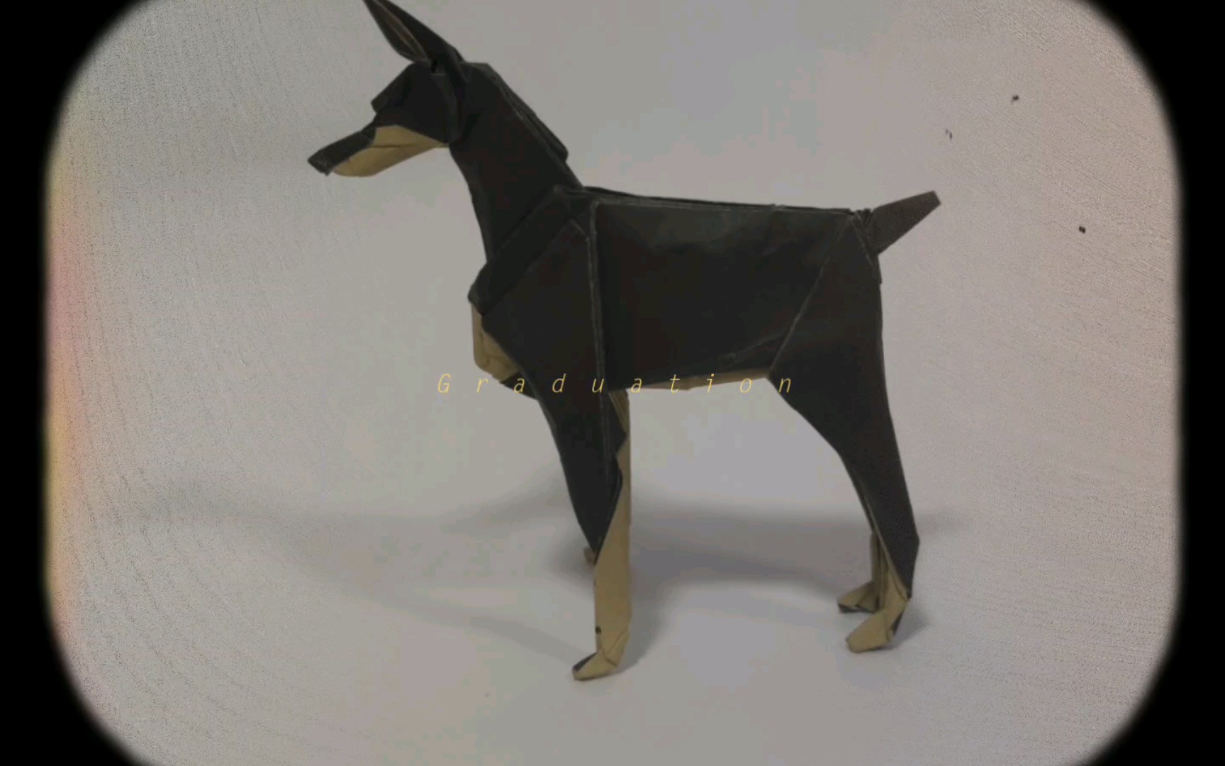 【折纸展示】折纸杜宾犬