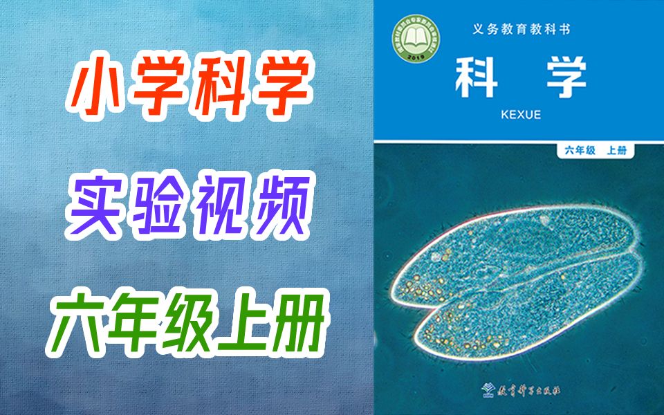 小学科学 教科版 六年级上册 科学实录 实验视频哔哩哔哩bilibili