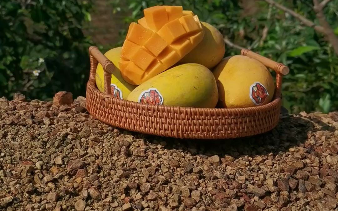 雷三姨正宗广西百色田东台农芒果个大肉甜