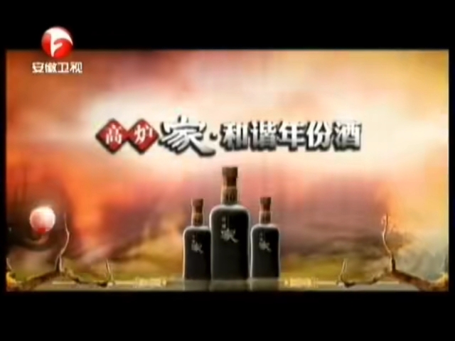 2011安徽卫视广告图片