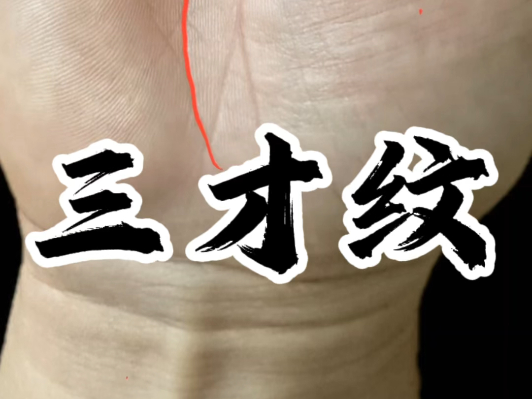 手相解析道毅原创:三才纹长这样!哔哩哔哩bilibili