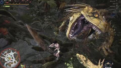 Mhw 大剑大凶豺龙无防具ta 开荒6星猫车怪物猎人世界中分哥 哔哩哔哩