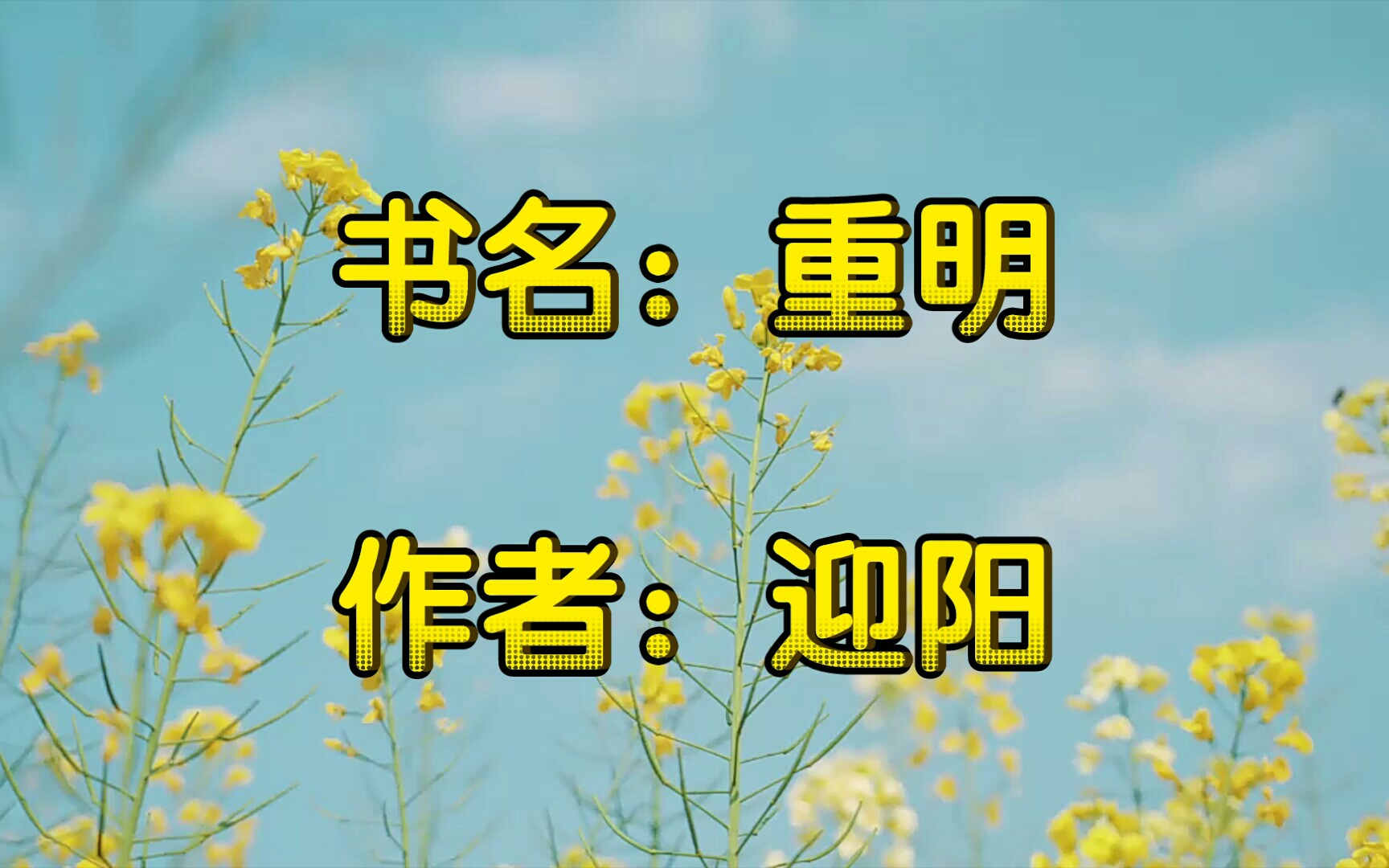 【推文】书名:重明,作者:迎阳哔哩哔哩bilibili