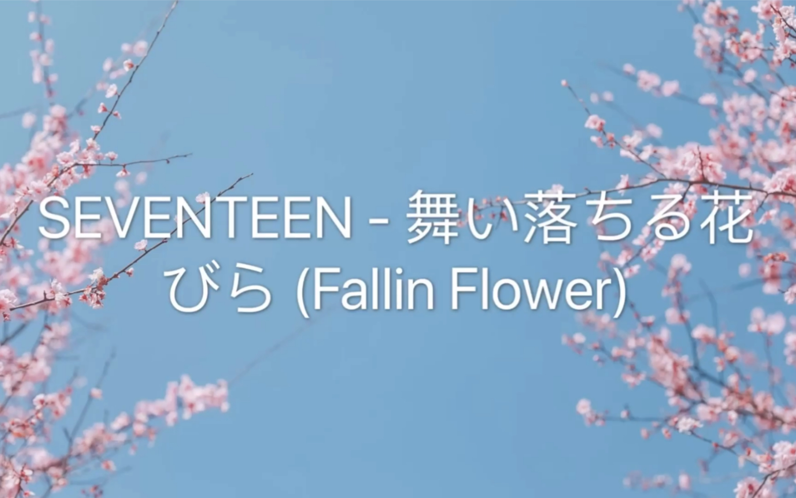 seventeen舞い落ちる花びらfallinflowerfeat小提琴ver
