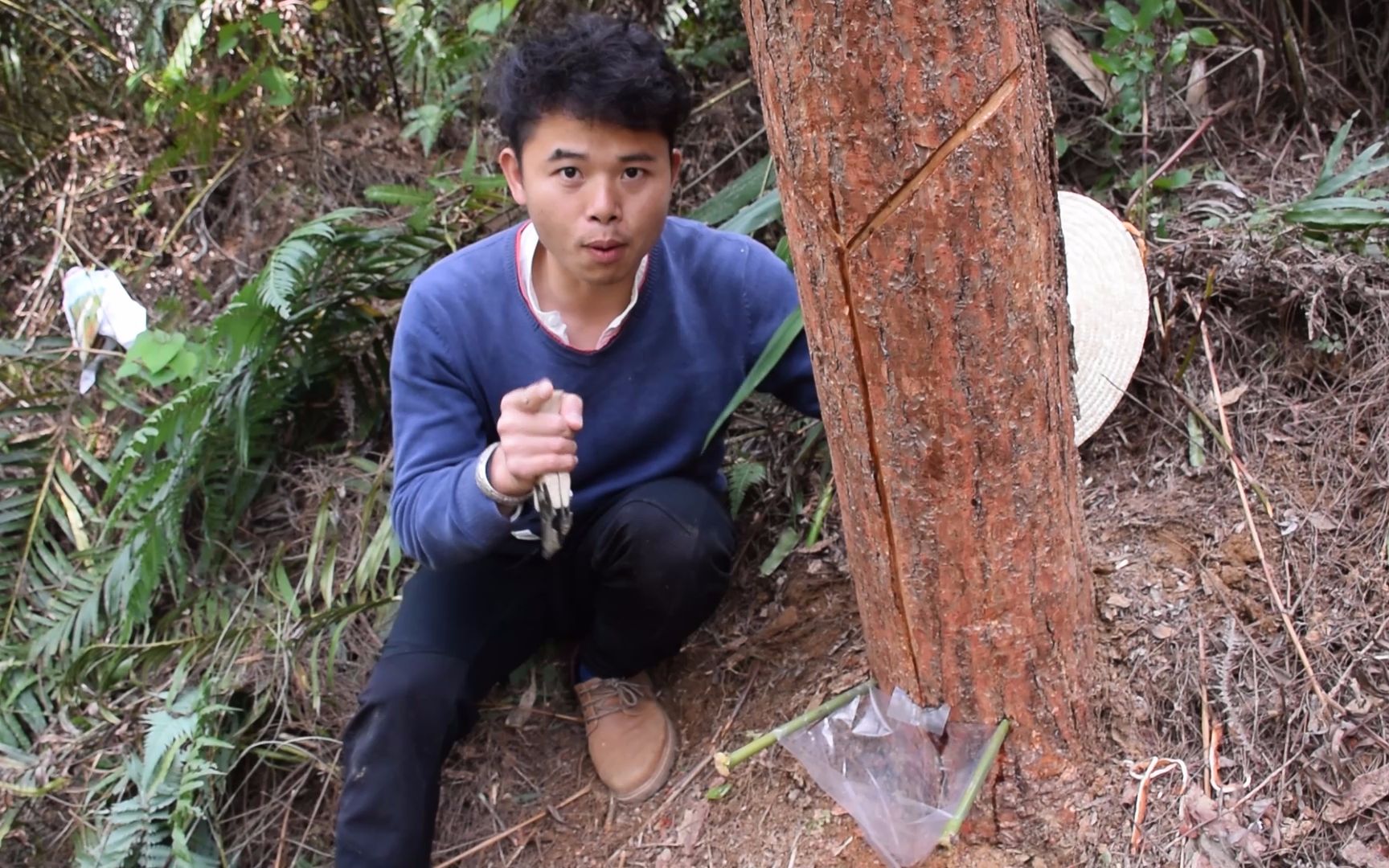 广西80后农村小伙,深山采割松脂油,自称年少贫穷,无钱读书